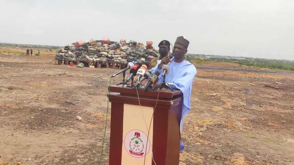 NDLEA Destroys Over 12 Tonnes of Illicit Drugs in Kano